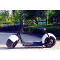 2016 Hot Sale City Coco Electric Scooter (JY-ES005)